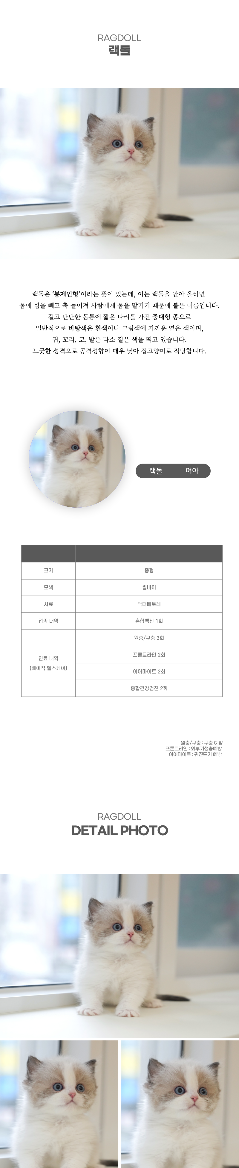 랙돌_상세이미지_2